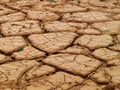 Dried mud Royalty Free Stock Photo