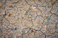 Dried Mud Background Royalty Free Stock Photo