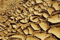 Dried mud background Royalty Free Stock Photo