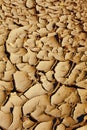 Dried mud background Royalty Free Stock Photo