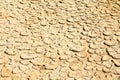 Dried mud Royalty Free Stock Photo