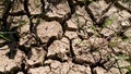 Looking down on the dried area of mud at the entrance of a meadow, after warm weather Royalty Free Stock Photo