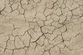 Dried mud with cracks