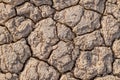 Dried mud cracks Royalty Free Stock Photo