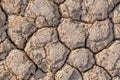 Dried mud cracks Royalty Free Stock Photo