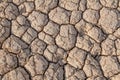 Dried mud cracks Royalty Free Stock Photo