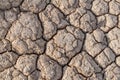 Dried mud cracks Royalty Free Stock Photo