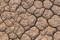 Dried mud cracks Royalty Free Stock Photo