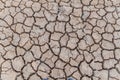 Dried mud cracks Royalty Free Stock Photo