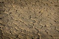 Dried Mud Dirt Drought Parched Ground Royalty Free Stock Photo