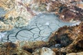 Dried mud pattern from a geothermal area in iceland Royalty Free Stock Photo