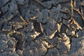 Dried mud after rain, cracks in the ground Royalty Free Stock Photo