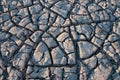 Dried Mud In Texas. Santa Elena Canyon And Rio Grande. Royalty Free Stock Photo