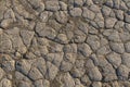 Dried Mud Texture Royalty Free Stock Photo
