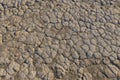 Dried Mud Texture Royalty Free Stock Photo