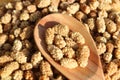 Dried mulberries an a wooden spoon Royalty Free Stock Photo