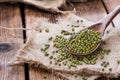 Dried Mung Beans Royalty Free Stock Photo