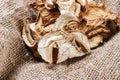 dried mushroom on sackcloth. Top view dried porcini mushrooms Royalty Free Stock Photo