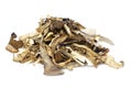 Dried mushrooms. Royalty Free Stock Photo