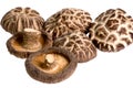 Dried Mushrooms Royalty Free Stock Photo
