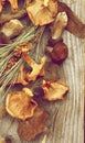 Dried Mushrooms