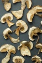 Dried mushrooms are  on a black background, vertically Royalty Free Stock Photo