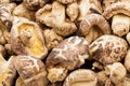 Dried mushrooms close up Royalty Free Stock Photo
