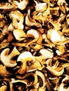 Dried mushrooms on the counter in the store