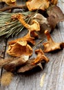 Dried Mushrooms