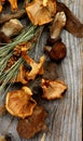 Dried Mushrooms