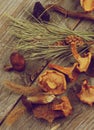 Dried Mushrooms