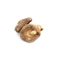 Dried mushrooms isolated on a white background Royalty Free Stock Photo