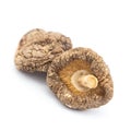 Dried mushrooms isolated on a white background Royalty Free Stock Photo