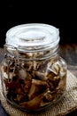 Dried mushrooms Royalty Free Stock Photo