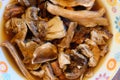 Dried mushrooms in water top view. Royalty Free Stock Photo