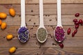 Dried myosotis Mallow flower herbal tea, Green tea and Rose flowers on spoons on wooden table Royalty Free Stock Photo