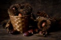 Dry chestnuts on basket Royalty Free Stock Photo