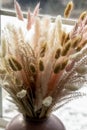Dried natural pampas grass in a vase on the window