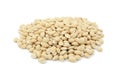 Dried neavy beans Royalty Free Stock Photo