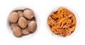 Dried true nutmegs and mace, seed coverings of nutmeg seeds, in white bowls Royalty Free Stock Photo