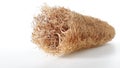 The young loofah is used for cooking old dried pods that the ancients used to scrub. Royalty Free Stock Photo