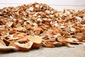 Dried orange peel food theme Royalty Free Stock Photo