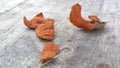 Dried Orange Peel on Wood Surface Royalty Free Stock Photo