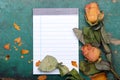 Dried orange roses and blank notebook on wooden background, Royalty Free Stock Photo