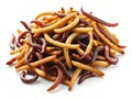 dried orange worms in a white background Royalty Free Stock Photo
