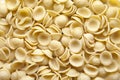 Dried Orecchiette Pasta Royalty Free Stock Photo