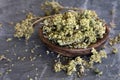 Dried Oregano Sprigs in Bowl over Slate