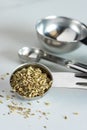 Dried Oregano Spilled from a Teaspoon Royalty Free Stock Photo