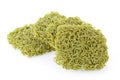 Dried organic green noodles