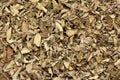 Dried Organic Oregano Origanum vulgare. Royalty Free Stock Photo